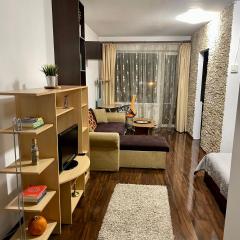 Apartament Ciocarliei