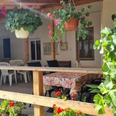 Apartments in Balatonlelle 51893