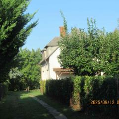 Holiday home in Csopak - Balaton 18315