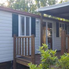 Mobilehomes in Rosolina Mare 33791