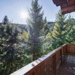 Chalet savoyard près des pistes, 13 personnes, Parking, Wifi - FR-1-568-59