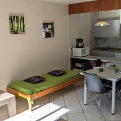 Studio spacieux à louer, centre station Orcières - FR-1-262-194