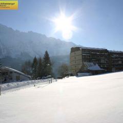 Apartments in Bad Mitterndorf - Steiermark 41630