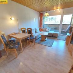 Apartments in Bad Mitterndorf - Steiermark 41630