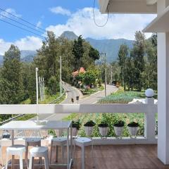 Pulmo Guesthouse Bromo