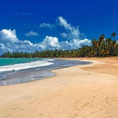 The Sandy Pearl Apartment