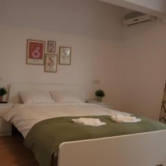 Kiseleff Park Studio