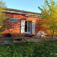 Maison Datcha Gîte familial avec jardin et piscine privée près de Toulouse