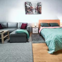 Spacious and Comfy Apartment, 15 Mins from Airport, 17 Minutes to City Center