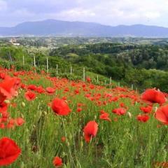 Holiday home Vukovoj