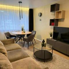 Two Bedroom Apartment LAZDYNAI