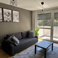 2BR, balcony, central, danube, U6 & S-Bahn - BRN 39