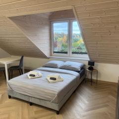 Przystanek Niesiołowice - na Kaszubach