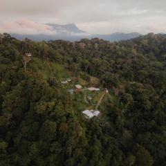 Finca Renacer - Jungle Lodges