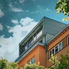 The Silver Top by Homester