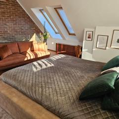 Three Stories Apartment in Old City center with Castle view and Terrace