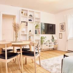 Cozy one bedroom apartment with balcony