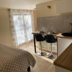 Charmant studio rénové avec terrasse privative