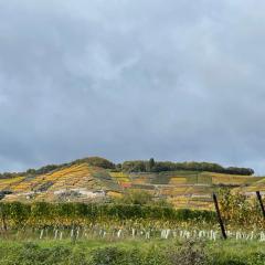 Ferienwohnung Wenzler