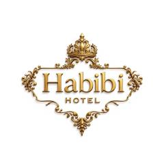 Hotel Habibi inn Baq