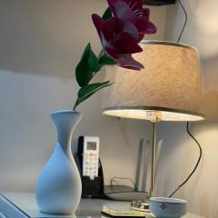 ابراج الكرمه بجوار النادى الاهلى