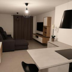 Villeurbanne la soie - Rhône express