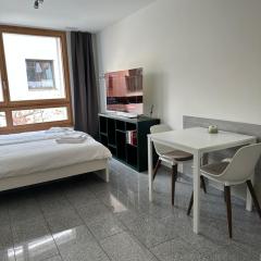 Bergstudio II I Flims I Laax I Ski I Caumasee