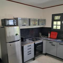 Villa aux 4 palmiers