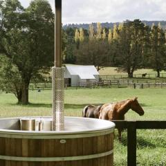 Bowral Farm Stay With Hot Tub & Horses
