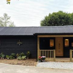 Blackwood - Peaceful cottage surround by woodlands