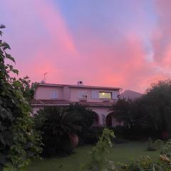 Villa Ontanelli - 500mt dal mare