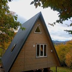 М'юзіка Карпат