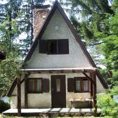 Holiday home Frymburk - Lipno-Stausee 1806