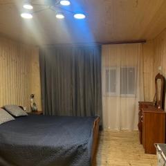 Будинок в Карпатах