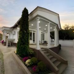 Royal Vila Negotin - Private Parking, Garden and Terrace