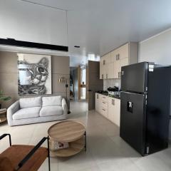 Lujoso y cómodo apartamento