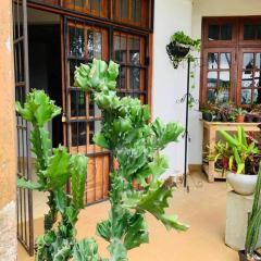 Ceylon Bliss Retreat- Kandy Wellness Hotel