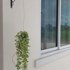 The Artist House Surat Thani