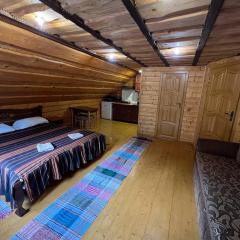 Лісова тиша номер - 1