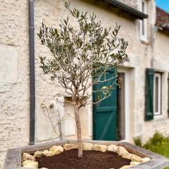 Voilà Le Logat - Chambres & Gîtes