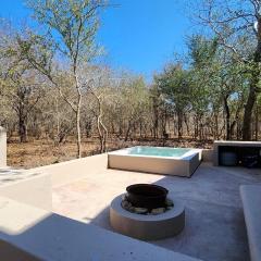 Erdvarkie at Kruger, Marloth Park