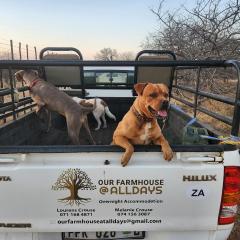 Our Farmhouse at Alldays