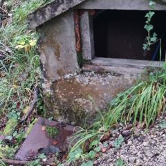 Treehouse - Alpinlake Apartments