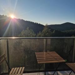 Divčibare apartman Doros