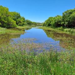 River Ridge Log Home - Inside Dinokeng Big 5