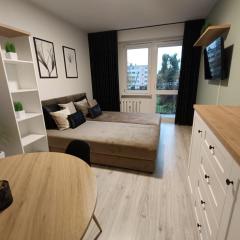 Piotrków Trybunalski Comfort Apartment by BookingHost