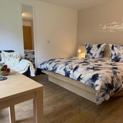 Pension Hirschburg Studio 8 - Neuhaus