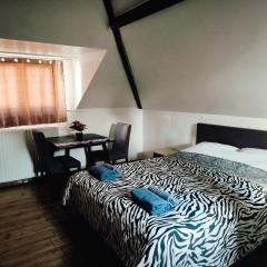 Room near the center with bathroom and kitchen