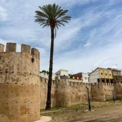 Exclusivo Apartamento ALZIRA