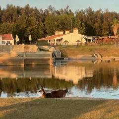 Monte do Lago, Pegões
